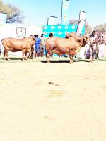Farmers demand land