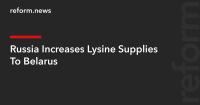 Russia Increases Lysine Supplies To Belarus