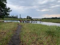 Redside Foundation provides mental health assistance to the West’s outdoor guides