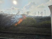 16 Brush Fires in August Strain Palau’s Firefighting Resources Amid Severe Dry Weather