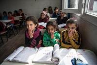 Unprecedented Slump Hits the World’s Students
