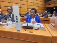 Kenya calls for global unity in drug war as HONLEA convenes in Vienna