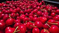 South African cherries gain Chinese market access, next blueberries