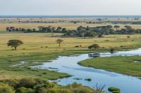 The rare bird that could reveal whether Botswana’s Okavango Delta is in trouble