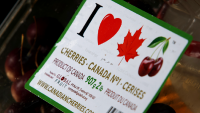 Canadian tariffs aim for renegotiation, but may not change US policy