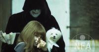 Valerie and Her Week of Wonders: Restored Czech classic screened in Venice