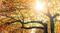 UK weather maps show 26C September heat forecast for 18 counties - full list