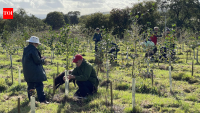 Scientists spread crushed rock across an 11.5-hectare forest to pull more carbon from the atmosphere; 6,400 trees were tracked for four years and revealed a 27% carbon boost