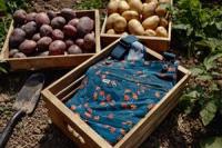 Duluth Trading Co. Expands Its Heirloom Gardening Line, Built for Every Growing Season