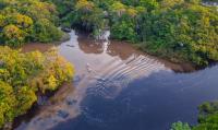 Five Things to Know Before Booking a Luxury Amazon River Expedition in Peru