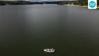 Warming seas are enticing octopus to British waters