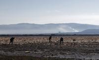 ‘Plastic pollution hotspots’ spawn a public health crisis across Latin America