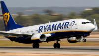 Ryanair flight diverted after bird strike shortly after takeoff
