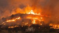 Brit expat dies in hospital months after getting trapped in devastating Spanish wildfires & suffering horror burns