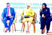 Malawi, Tanzania strengthen trade, economic ties