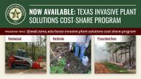 Texas A&M Forest Service offers funding for invasive plant management