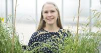 Research reveals Avadex's unique role in grassweed resistance management programmes