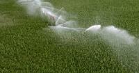 Summer drought shows horticulture needs to consider irrigation systems, Heydon says