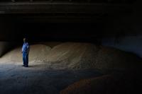 'We will sow' — Odesa farmers defiant in face of relentless Russian assaults