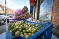 Chicago-Area Businesses Lost $1.2 Billion Because Of Immigration Crackdown, Report Says