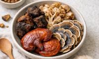 The Role of Mushrooms in Equine Wellness