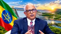 Nile Basin Cooperative Framework Agreement Will Be Implemented Whether Egypt Signs or Not: Former Water Minister