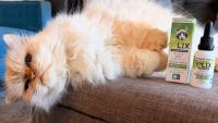 LIX Pet Wellness Expands Advanced Formula Line with New Feline ELIXIR