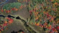 NH Fish and Game Conserves 1,308 Acres Establishing the Theodore W. Walski Wildlife Management Area
