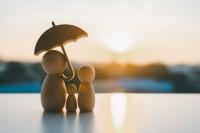 When politicians invest in insurers, trust gap widens