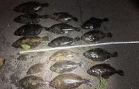 Connecticut police arrest two for illegal fishing operations