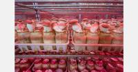 Ukrainian eryngii exporter expands production and targets wider European market