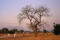 Limpopo man among group missing after insurgent attack on Mozambique hunting camp