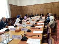 Arab working group begins drafting health tourism framework