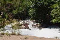 Environmental alert in Entre Ríos: pollution of four streams threatens the balance of the Enrique Berduc Reserve