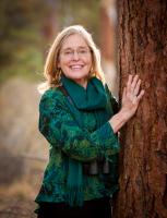 Local authors to tell their story at book fest