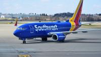 Houston-bound Southwest flight diverted to BWI Airport after bird strike near D.C.