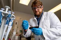 Texas A&M launches online Master of Food Technology and Leadership degree