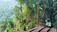 Montserrat Tourism Week to Explore Technology and AI Opportunities