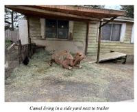 Former owner of Southern Oregon roadside zoo sentenced for animal abuse, drugs