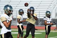 North Bay Football Poll: Cardinal Newman still No. 1; American Canyon, Ukiah, Analy among risers