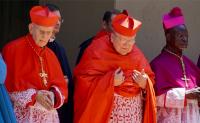 Cardinal Burke affirms Mary as Co-Redemptrix despite Vatican’s rejection