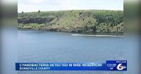 Idaho Environment Officials Found Cyanobacteria in the Ririe Reservoir