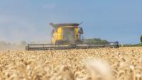 Easy harvest mostly disappointing for Arable Insights farmers