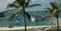 Bodies of Florida Couple and Grandkids Reportedly Located After Vacation Plane Crash