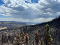 New Mexico sues feds over refusing to reimburse state for $61M in wildfire costs