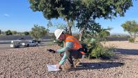 ASU ranks No. 1 in the US for impact with UN Sustainable Development Goals