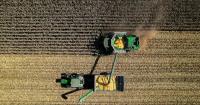 Economic Pulse: Farmland values hit record as cash rents stay sticky