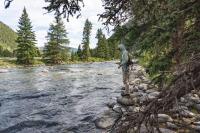 Letter to the Editor: Montana’s rivers belong to all of us