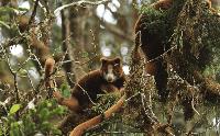TKCP & PNGUOT PARTNER ON FUTURE CONSERVATION RESEARCH