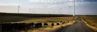Anti-wind group sues planning minister and wind project owners, threatens public servants
